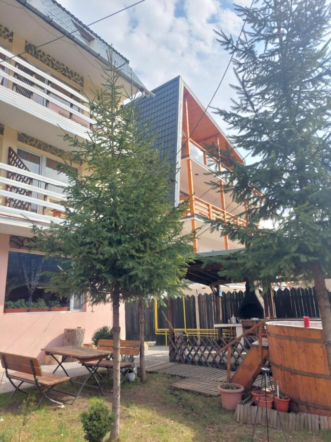 Апартаменты Mountain View Буштени Экстерьер фото